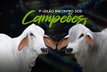 1º LEILÃO ENCONTRO DOS CAMPEÕES